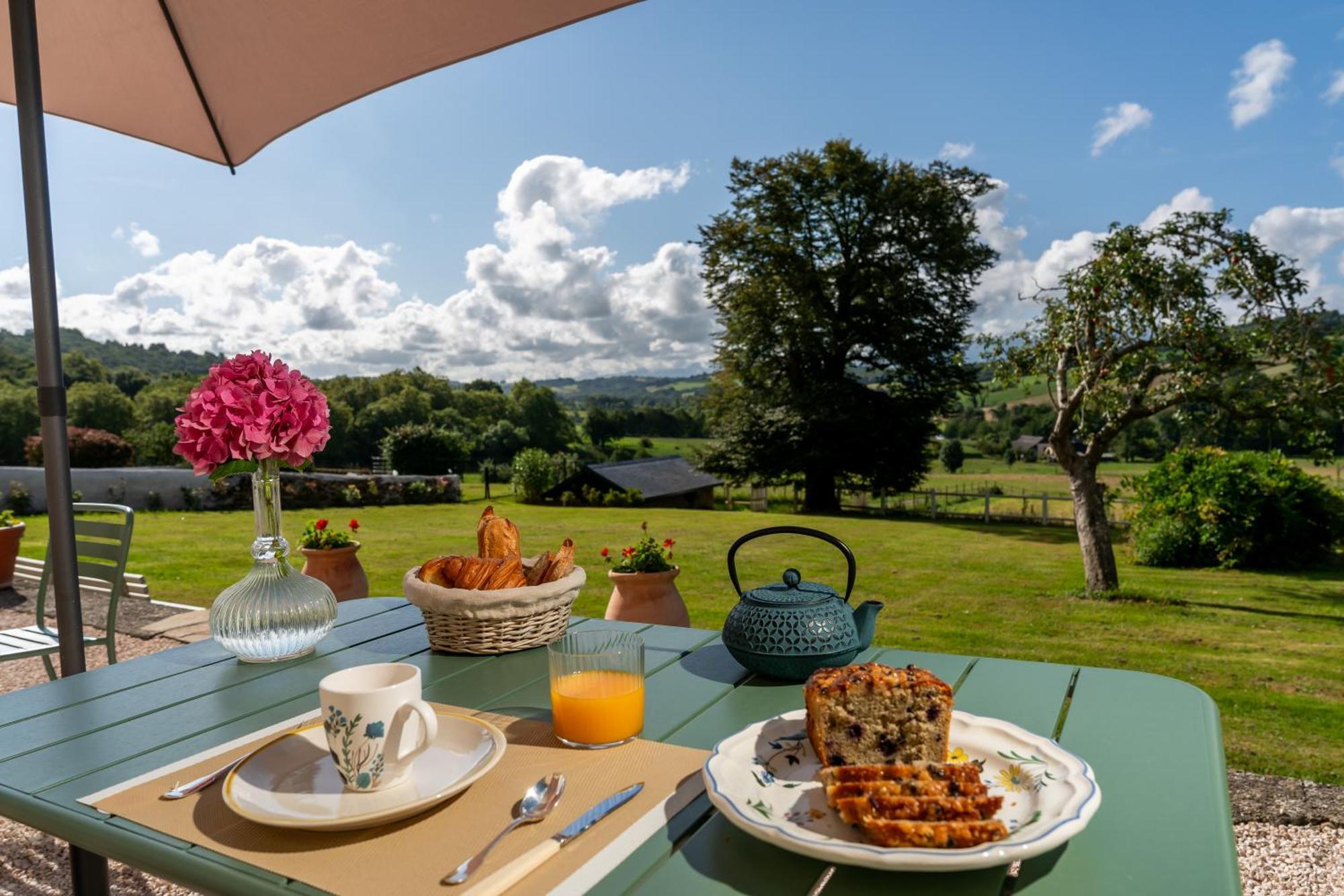 Le Relais Du Faget Hotel Oloron-Sainte-Marie Kültér fotó